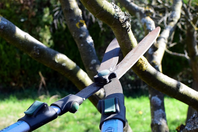 Fairy Pruners